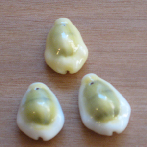 cowrie money