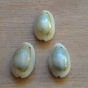 cowrie ring top