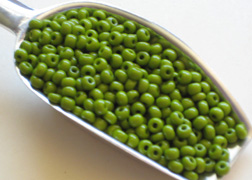 czech 6/0 bead
