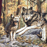 wolf faric